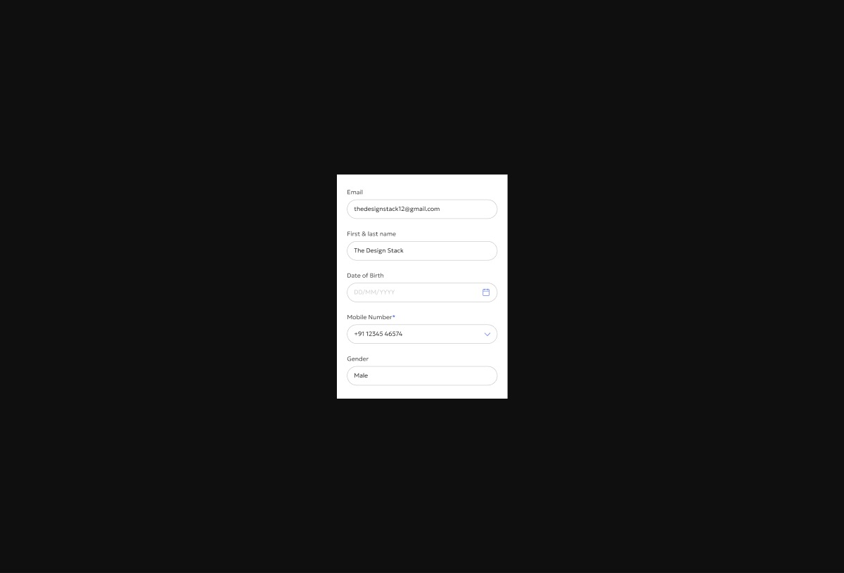 Input Fields 2 preview