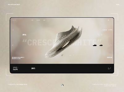 Modern Shoe Carousel preview